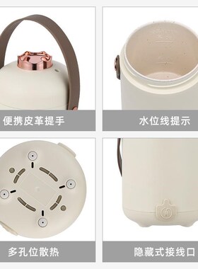 110v小家电h智能小电炖锅煮粥神器多功能迷你便携式煲汤熬粥养生