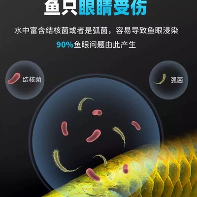 玛豆克蒙鱼缸净化水质有害菌弧菌多会引起蒙眼非鱼V药非黄粉非鱼