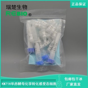顺丰包邮包干冰Rosketta(DE3)化学转化感受态细胞大肠杆菌10支20