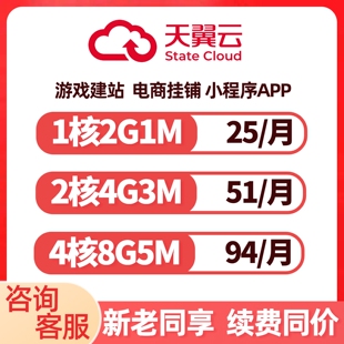 天翼云服务器阿里华为腾讯云主机租用远程亚马逊店群搭建独立多ip