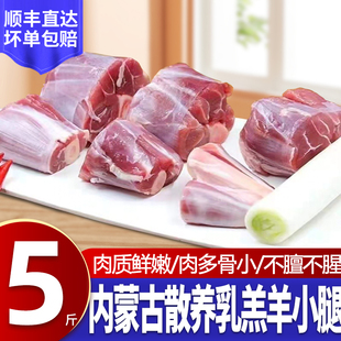 羊小腿羊肉新鲜现杀内蒙古羔羊羊腱子肉5斤羊腿切块烧烤生鲜食材