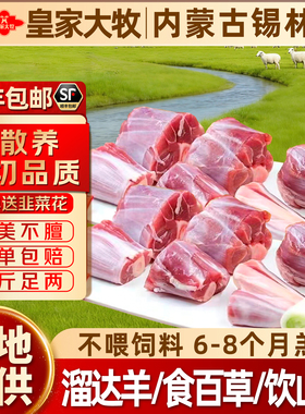 内蒙古散养羔羊羊小腿切块羊腱子肉10斤羊腿生鲜羊肉新鲜烧烤食材