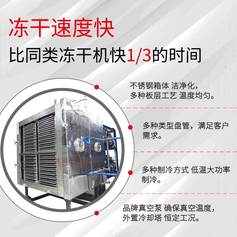 供应 脱水蔬菜燥fd真空冷冻干燥低机 肉燥类冷冻干设备 温干机