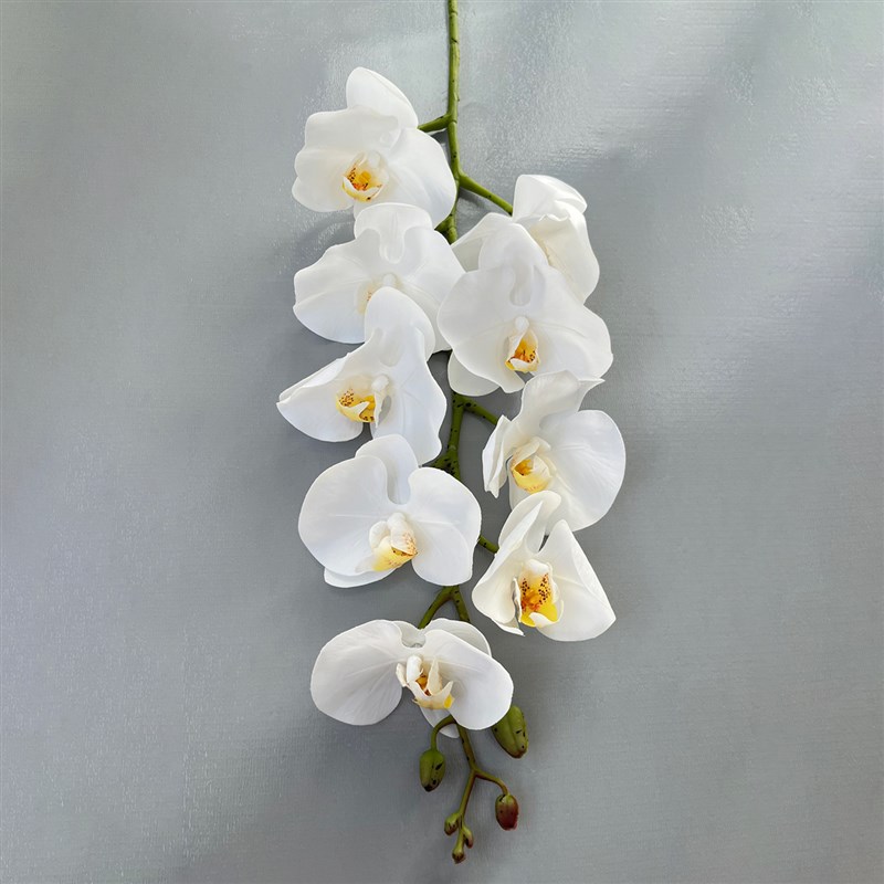 手感保湿蝴蝶兰仿真花摆设花瓶高级感假花摆件装饰客.厅玄关轻奢