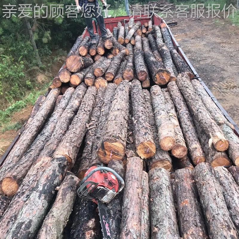 林场货供应各51m526木种桩 松木供现应 防护木桩桩现货