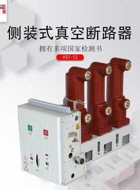 ZN63(VS1)-12侧装式户内真空断路器D VBM7-12/630a 高压真空开关