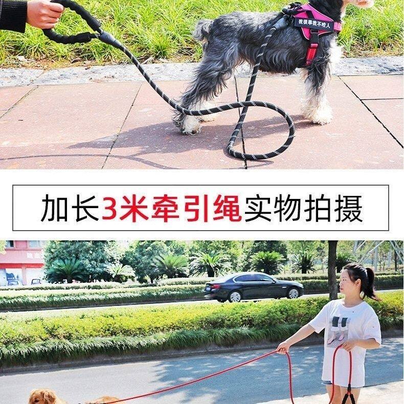 泡棉舒适握把耐磨宠物牵引绳中小型泰迪比熊夜间反光遛狗外出狗绳