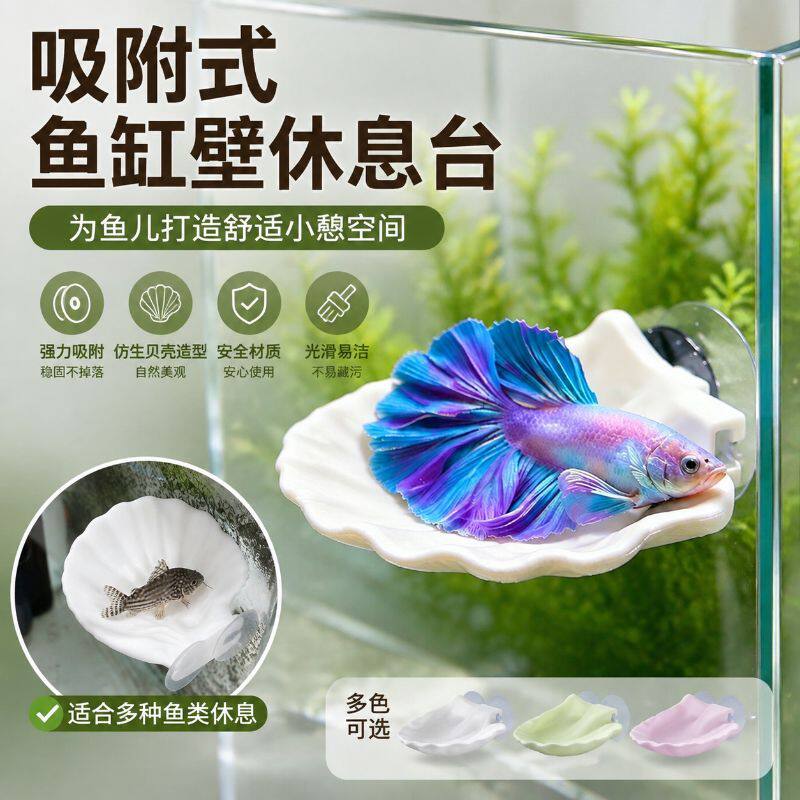 悬浮仿真贝壳鱼缸造景摆件吸盘式斗鱼金波子产卵休息躲避新款