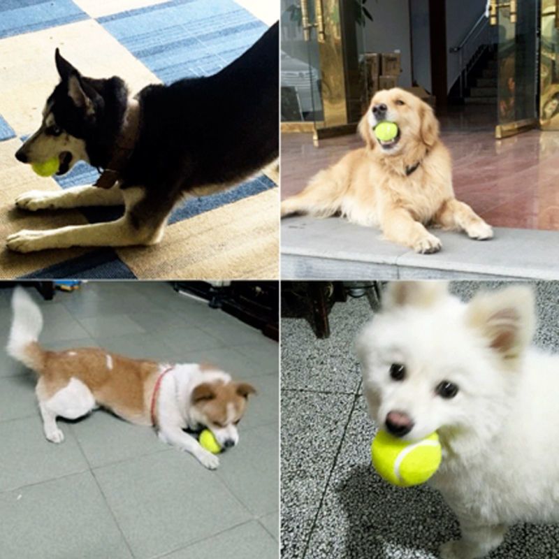 小型犬磨牙发泄陪睡玩具狗狗发声耐咬玩具球泰迪解闷各类狗狗用品