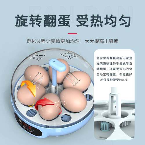 孵蛋器儿童迷你芦丁鸡孵化器小型家E用鸡蛋孵小鸡的机器鹦鹉孵化