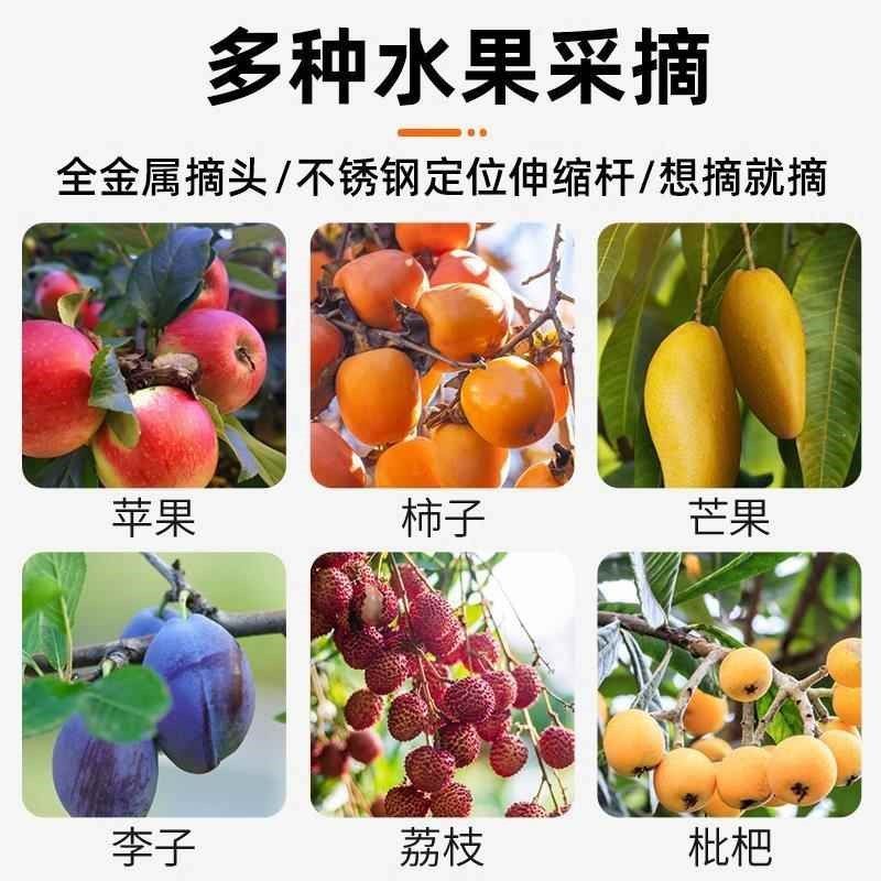 摘枣子神器c伸缩杆高空采摘伸缩杆网兜桃梨李苹果柿杏枇杷摘水果,五金/工具,园艺剪,淘宝优惠券,粉丝福利购,淘宝优惠卷