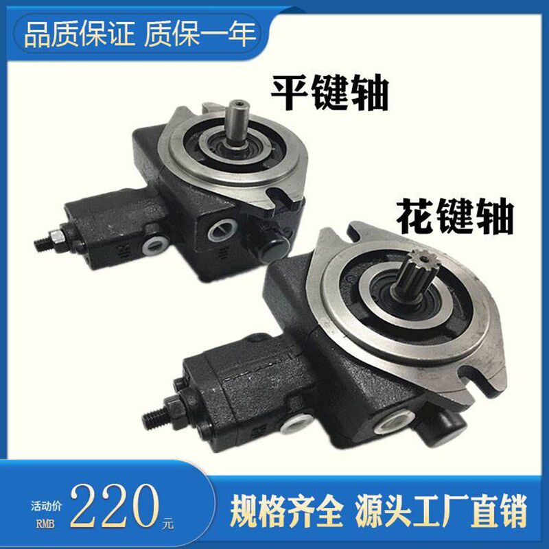 新款低压变量叶片泵VB1-20FAt3液压油泵头VA1-12FA3 FA2 VB1-20FA