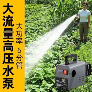 充电式6分管抽水泵o浇菜神器浇水农用浇地灌溉家用大功率抽水机