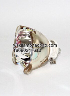 DP E-Visfion6900 XGA/ WXGA NSHA300DE 118-047投影机仪灯泡