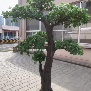 玻璃钢仿真大树室外装饰福禄桐树七星树罗汉Q松假树商场中式摆件