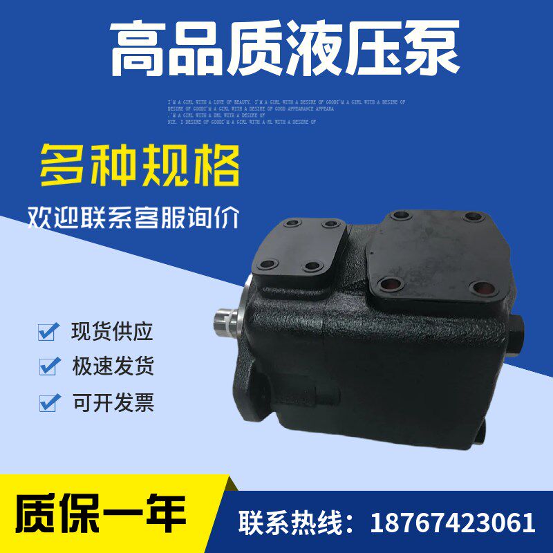 叶片泵Rb900931548 PVV4-1X/082RA15DMC