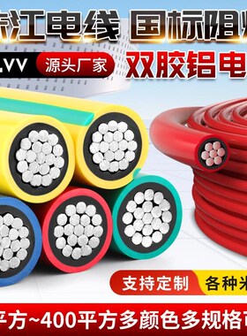 新品珠江国标blvv双皮铝芯电线10/16/25/35/50N/70/95/120平方铝