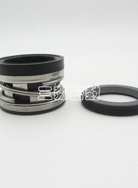 现货销售连成泵业机械密封件SLwS100-250A轴封氟胶水泵水封 机封