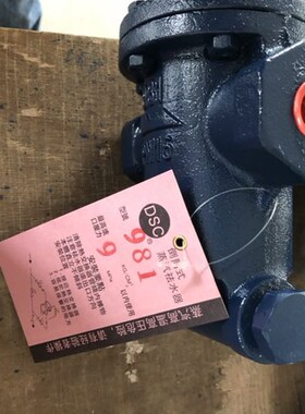 倒筒倒置桶式蒸汽疏水阀 DSsC内螺纹疏水器 丝口疏水阀981 982 98