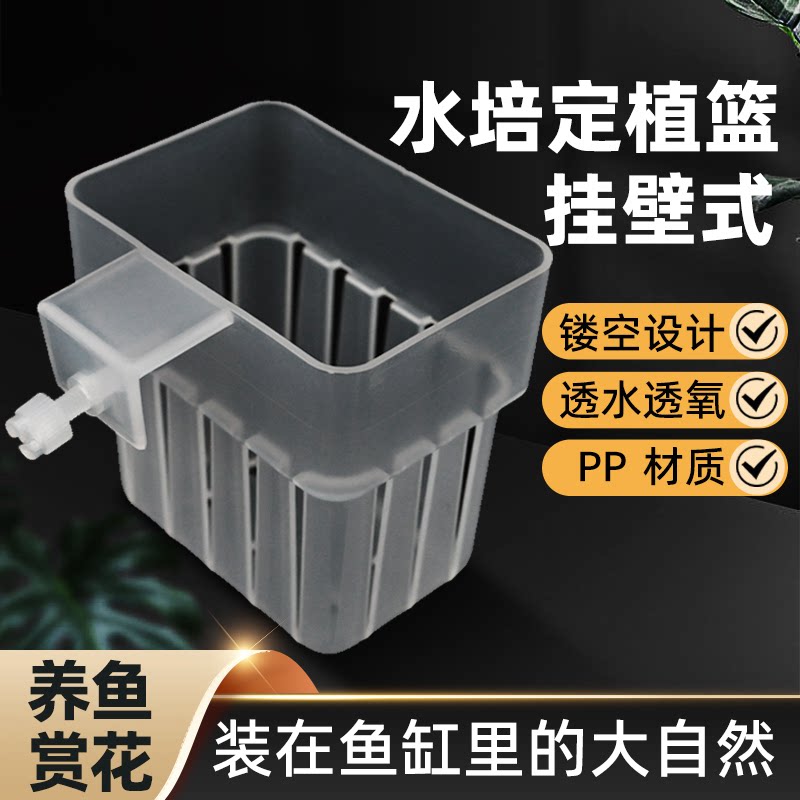 镂空花盆水培鱼缸水培定植篮水草种植杯壁挂式加厚家用透明水培篮