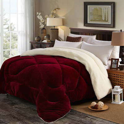 Winter Warm Thick Flannel Comforter Duvet Quilt Blanket beds