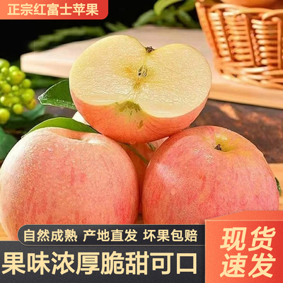 正宗红富士苹果2斤装应当季新鲜水果现摘整箱脆甜冰糖心丑苹果