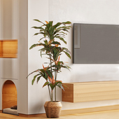 大型仿真植物红铁树室内装 饰摆件 饰仿生绿植盆栽室内客厅W落地装