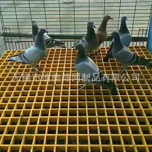 格栅优惠玻璃钢格栅板洗车房格栅板H养殖厂家光伏通道专用格栅