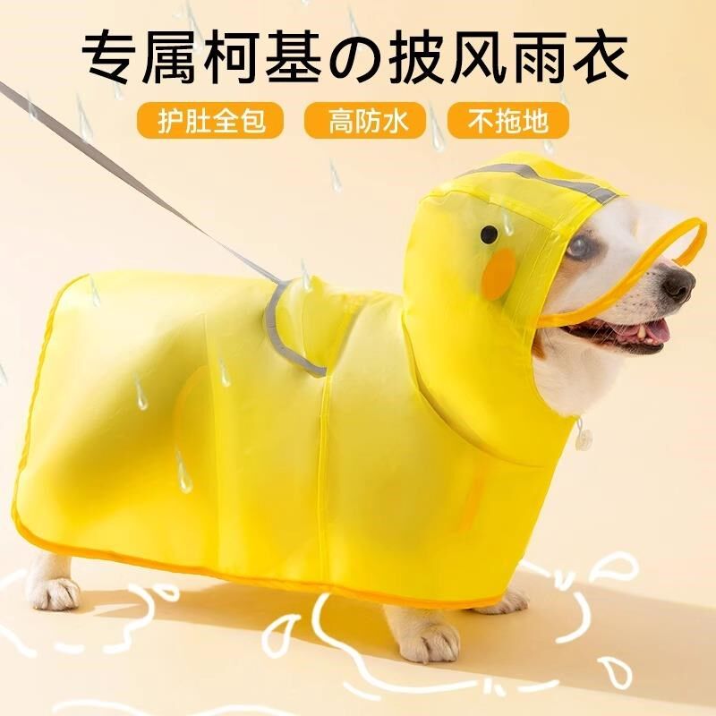狗狗雨衣宠物防水中小型犬柯x基泰迪比熊春夏季雨天防脏神器可牵
