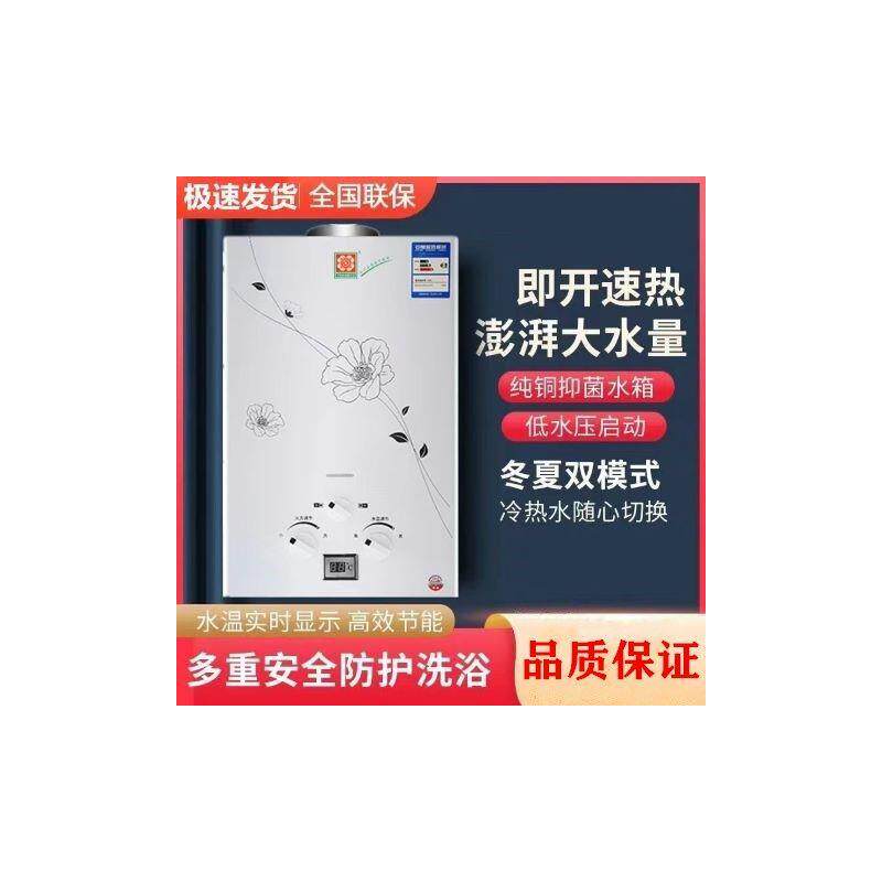 燃气热水器天然气瓶装煤气液化气低水压启动出租房洗澡即热式