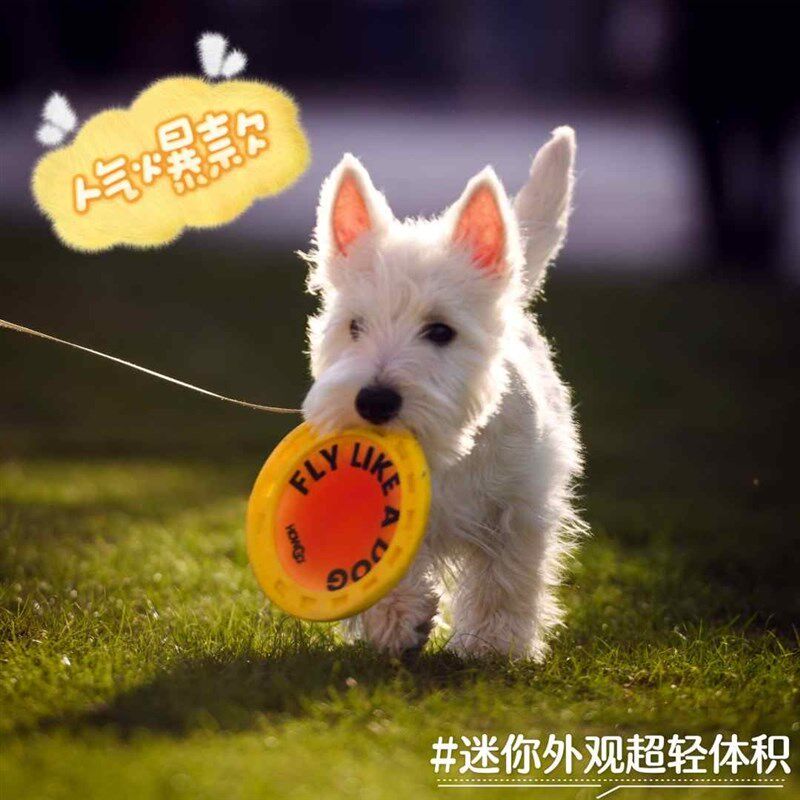HOWGO训练狗狗飞盘时尚玩w具高品质耐咬巡回互动解闷拔河柔软材质