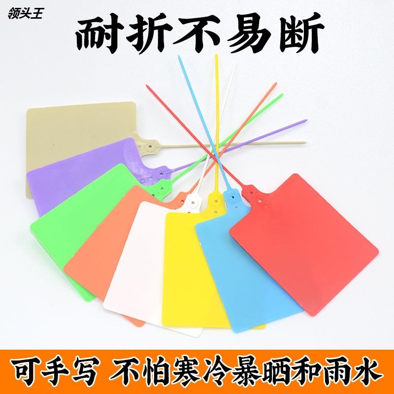 一次性塑料封条物流挂签t吊牌快递物流仓库标签产品卡片防盗扣掉