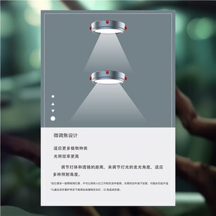 雷思达DOT3桌面植物灯微景观灯小D型鱼缸灯变焦磁吸家居植物装 饰