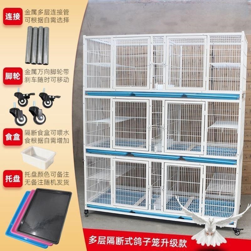 鸽子配对笼加粗镀锌管鸽1y.6cm鸽子笼防老鼠加密棚公舍