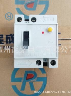 爆款上海人民DZL18漏电断路器开关DZL18-2032A漏电保护器开关透明