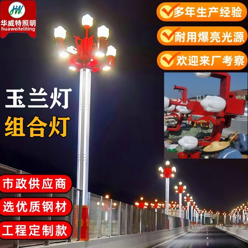 批发特色组合路灯荷花造型LED景观灯市政照明高杆大型玉兰灯厂家