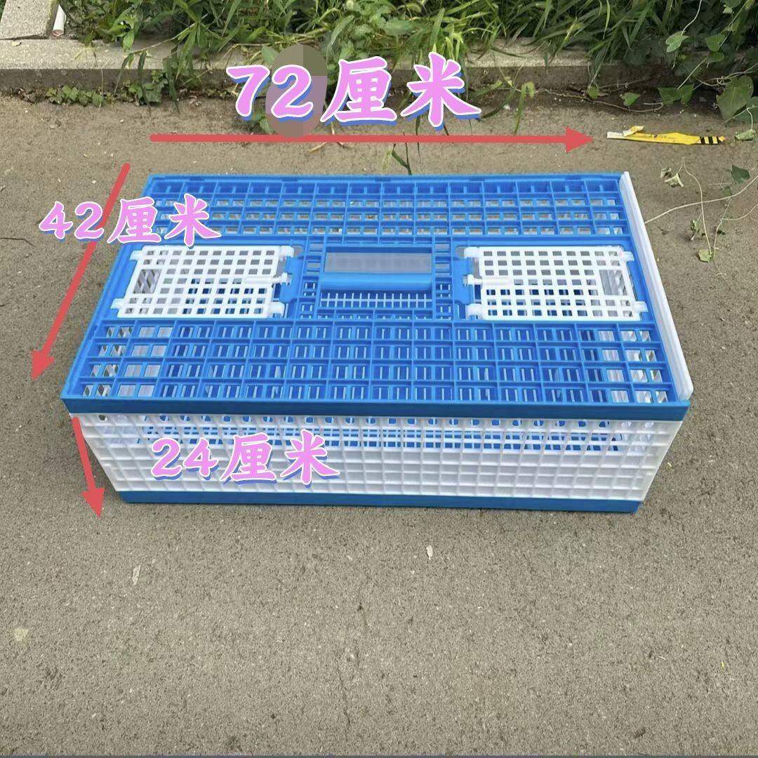 新款塑料笼鸽子放飞笼训放笼不可折叠赛鸽笼鸽子笼比赛笼训鸽笼