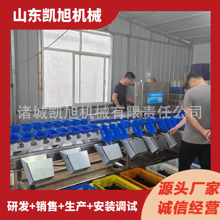 对虾青虾称重分级机 巴沙鱼重量分选机  小黄鱼鲳鱼自动分拣机