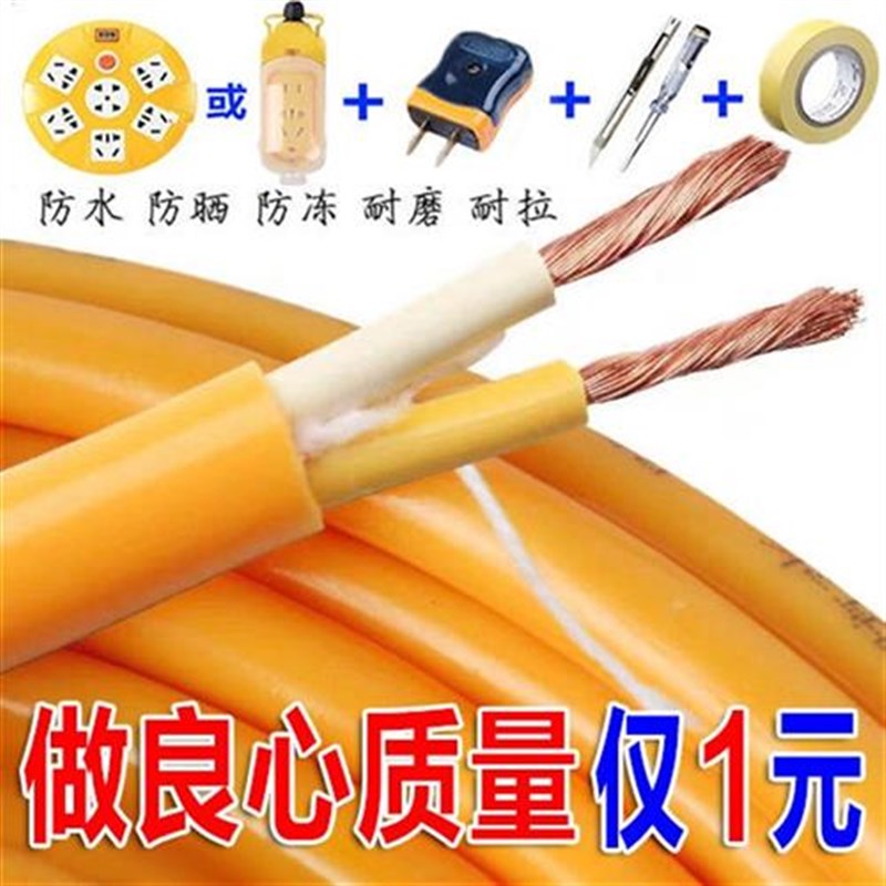 电动车充电家用电线电缆防水t防冻2芯*15/25/4平方牛筋软线足米