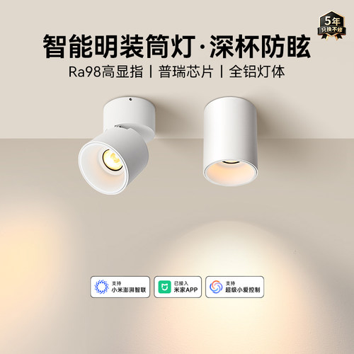 易来全光谱护眼防眩明装筒灯