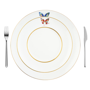 RESONG日诵家居 高温瓷典雅牛扒餐具套装 西餐刀叉盘礼品