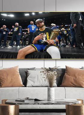 NBA全明星科比詹姆斯库里欧文挂