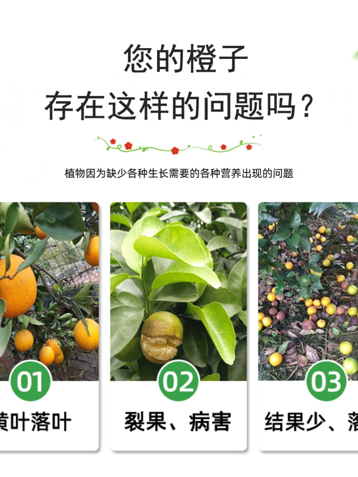 橙子树肥料橙子专用肥甜橙脐橙血橙冰糖橙红橙有机增甜剂抗病增产