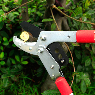 伸缩型果树修枝剪大剪刀园艺剪刀家用花剪修剪树枝剪刀粗枝剪省力
