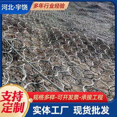 主动边坡防护网 柔性绞索钢丝绳网 F自然灾害山体滑坡落石防护网