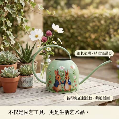 2L 大容量铁艺浇花壶 复古长嘴防锈洒水壶阳台花园家用工具