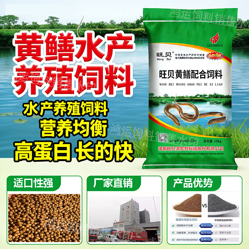 整吨可批包邮黄鳝饲料高蛋白