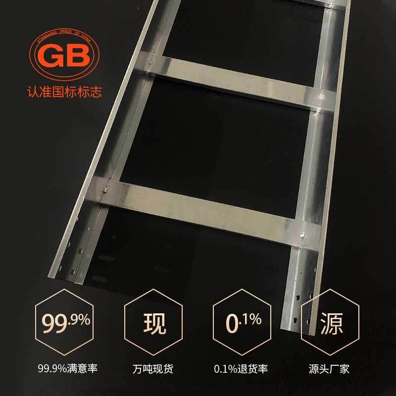 梯桥式架DMJ多孔梯边生产厂家盘梯式槽盒大跨距托式热浸镀锌金线