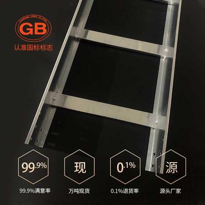 梯桥式架DMJ多孔梯边生产厂家盘梯式槽盒大跨距托式热浸镀锌金线
