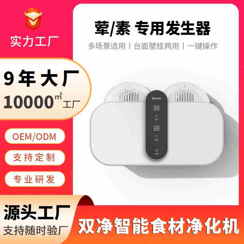 双仓果家蔬消毒机用洗菜机全自动壁挂式食农物食材清净化洗器祛残